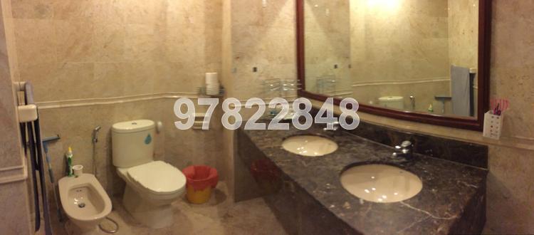 Parc Oasis (D22), Condominium #106831922